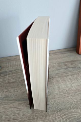 El cuco de cristal de Javier Castillo (Thriller)