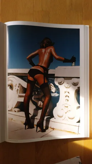 Hulmut Newton's Sumo