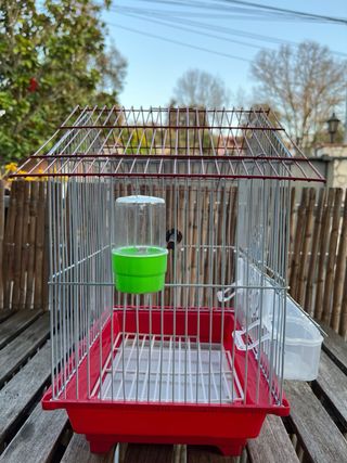 Jaula para pájaros roja y transparente