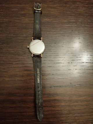 Reloj Enzo Varini Mujer
