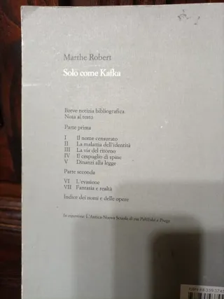 Solo come Kafka