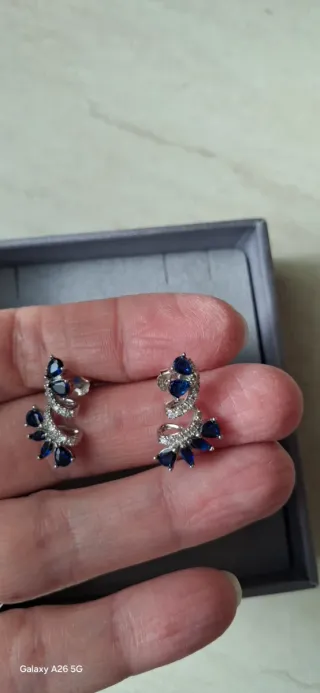 Orecchini eleganti blu e argento