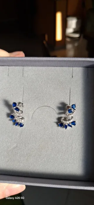 Orecchini eleganti blu e argento