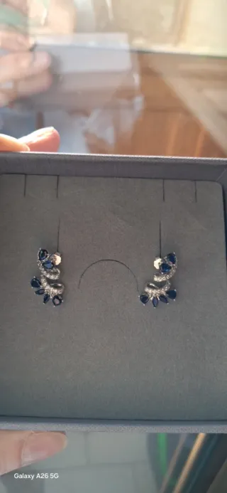 Orecchini eleganti blu e argento