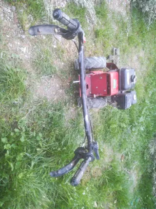 Segadora de hierba con motor