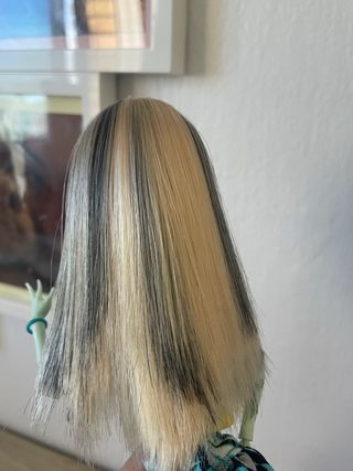 Monster High Frankie Picture Day