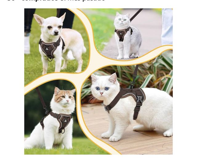 Arnés y Correa para Gatos Antiroturas