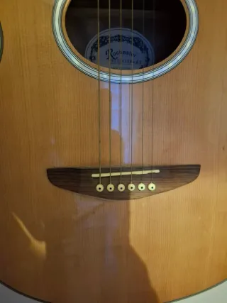 Guitarra semi-acústica Rochester