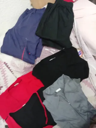 Lote Ropa Trabajo: 4 Chaquetas y 2 Panta.precio 3