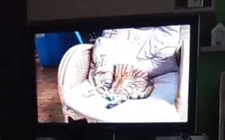 Televisor Samsung 37 Negro