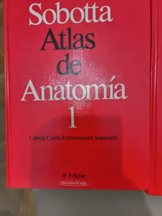 Sobotta. Atlas de anatomía