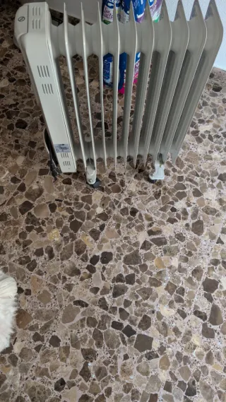 Calefactor de aceite Saivod