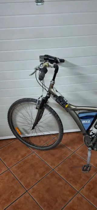 Bicicleta de paseo