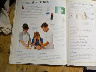 Animales De Compania-3 TS