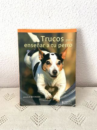 Trucos para enseñar a tu perro (Spanish Edition)