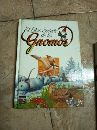 Libro "David el gnomo"