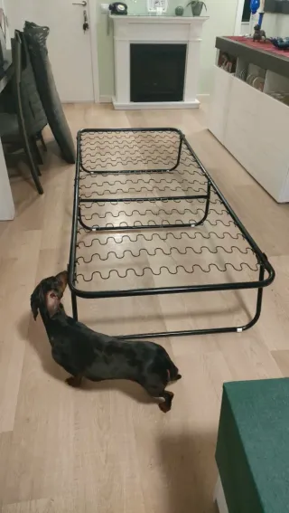 Cama Plegable Individual