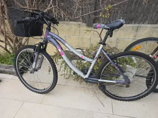 Bicicleta de montaña morada