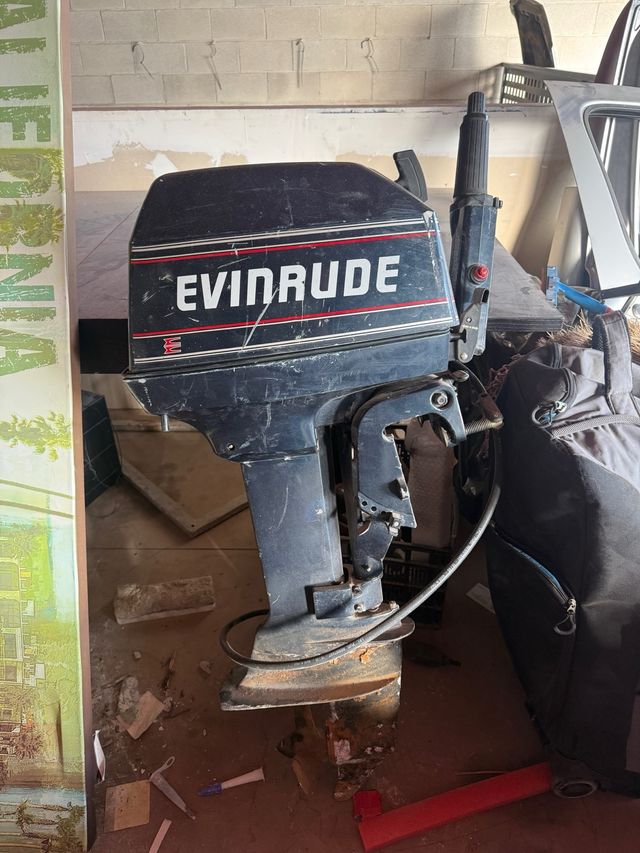 Motor fueraborda Evinrude