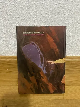 Libro antiguo Dos Años de Vacaciones