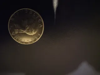 Moneta 100 Lire FAO 1979