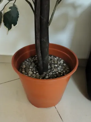 Planta Ficus Artificial Decorativa