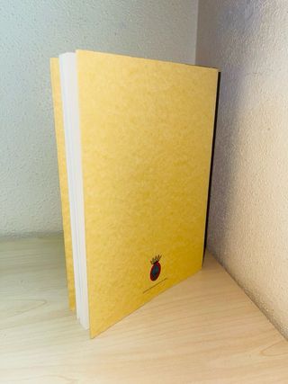 Libro poesía REGIÓN VOLCÁNICA DEL TORO