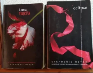 Jarrón Mimbre, Cuadro y Libros