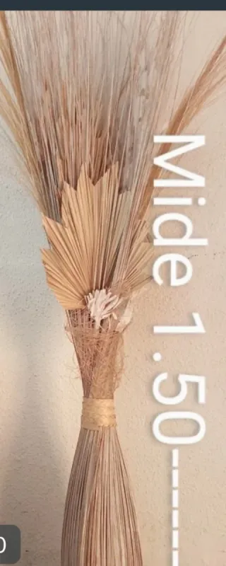 Jarrón Mimbre, Cuadro y Libros