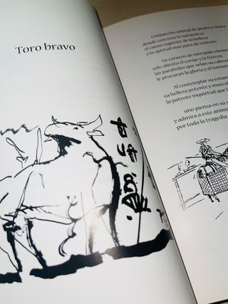 Libro REGIÓN VOLCÁNICA DEL TORO