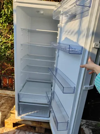 Nevera vertical Beko LED Lighting