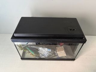 Pecera con accesorios