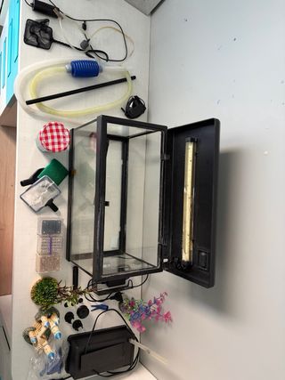 Pecera con accesorios