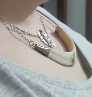 Collar Plata Ley Caza Diente Virgen