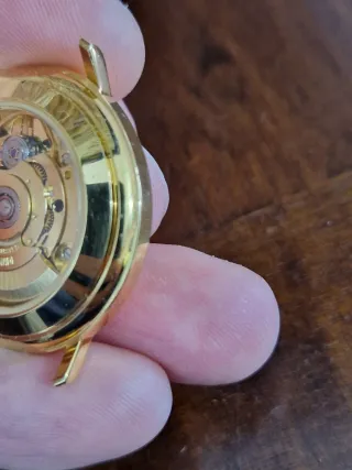 Orologio Uomo Automatico 25 Rubini Swisse Made