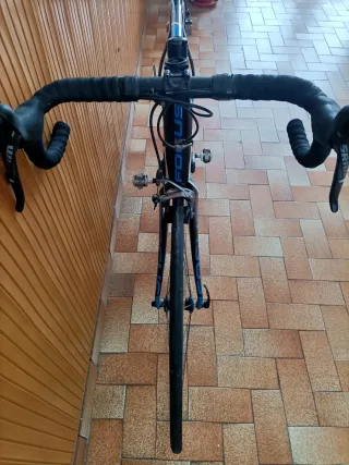 Bici Corsa Focus Izalco Team SL XL