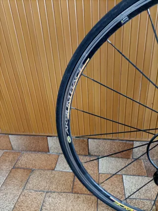 Bici Corsa Focus Izalco Team SL XL