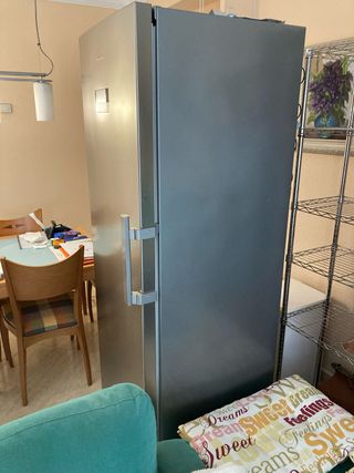 Frigorífico 1 puerta 185cm metalizado