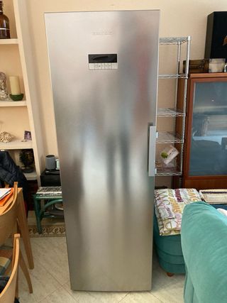 Frigorífico 1 puerta 185cm metalizado