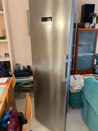 Frigorífico 1 puerta 185cm metalizado