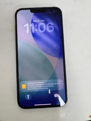 iPhone 13 Pro Max 84% Batería Azul
