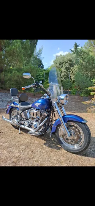 Harley Davidson Fat Boy ( ESPECTACULAR )