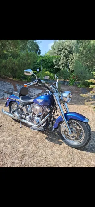 Harley Davidson Fat Boy ( ESPECTACULAR )