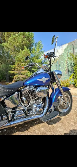 Harley Davidson Fat Boy ( ESPECTACULAR )