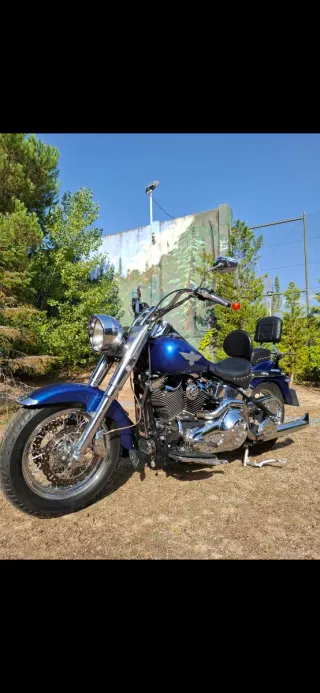 Harley Davidson Fat Boy ( ESPECTACULAR )
