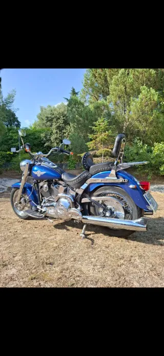 Harley Davidson Fat Boy ( ESPECTACULAR )