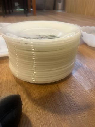 Vajilla Arcopal Margaritas