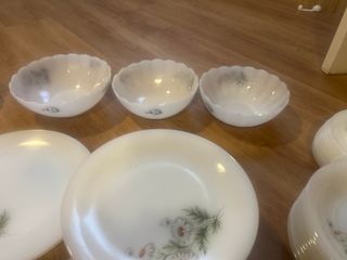 Vajilla Arcopal Margaritas