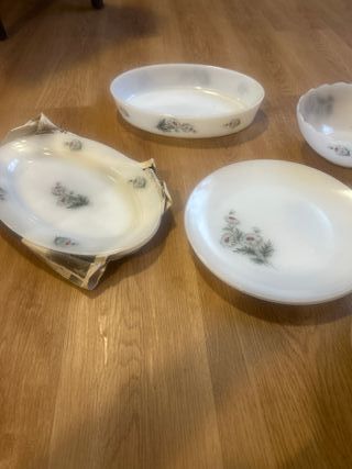 Vajilla Arcopal Margaritas