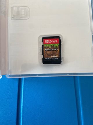 Minecraft Nintendo Switch
